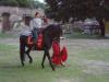 Lilienhof 270805 145